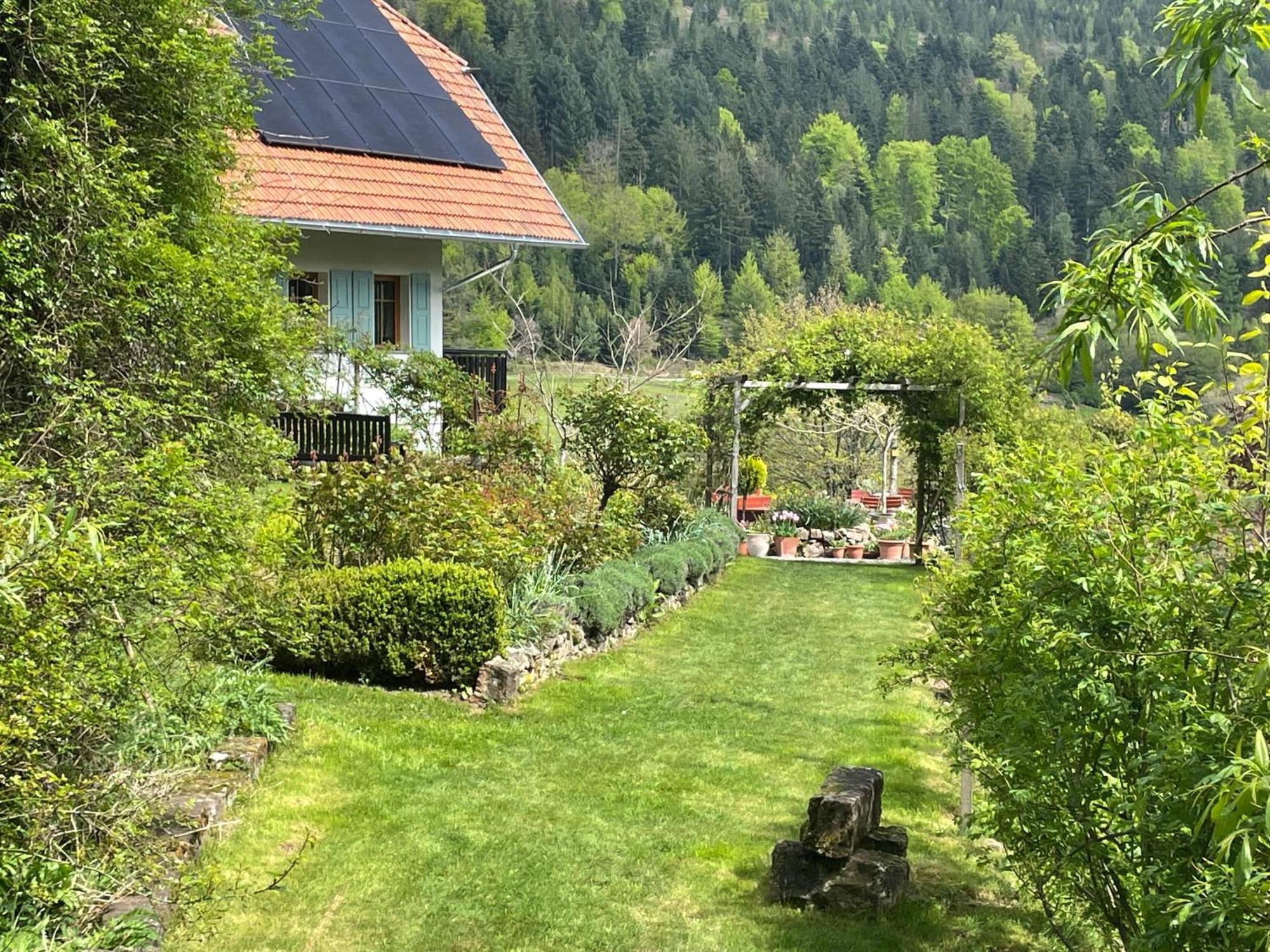 Nordrach The Moosbach Gardenゲストハウス エクステリア 写真