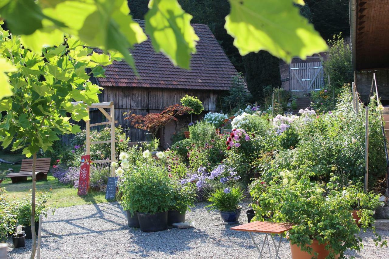 Nordrach The Moosbach Gardenゲストハウス エクステリア 写真